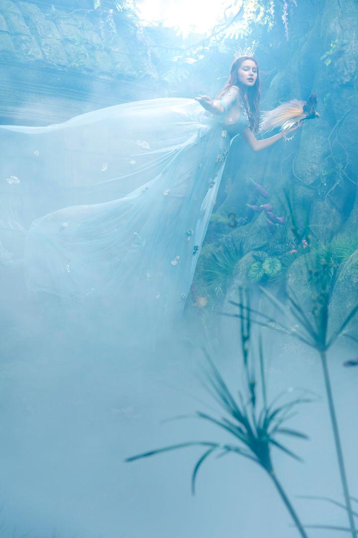 仙剑之父关注鞠婧祎,又点赞许凯